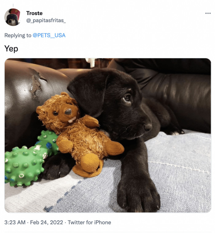 7. The only answer you could ever need