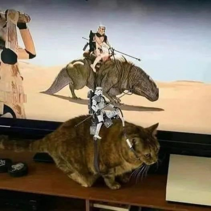 33. Doing my own thing