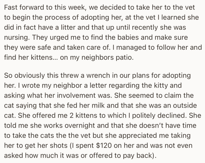 OP finally decided to adopt the kitty. But in the process, she found out that the kitty belongs to her neighbor
