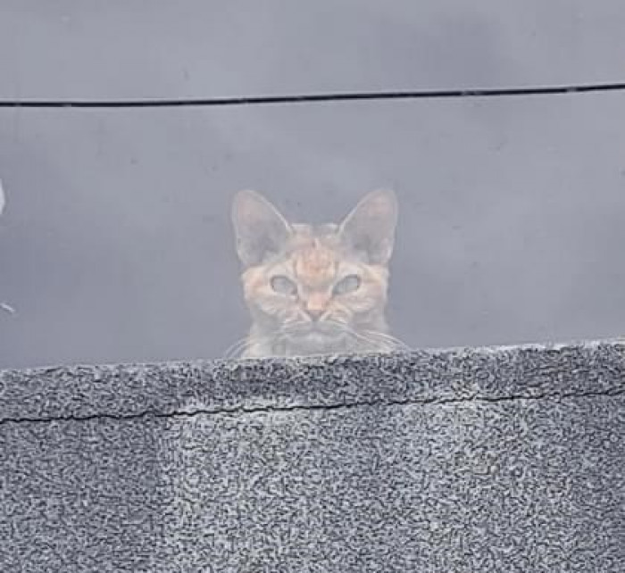 9. Don't you dare come close