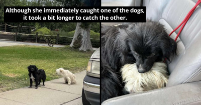 Woman Rescues Two Adorable Puppies That Can’t Go For A Minute Without Seeing Each Other