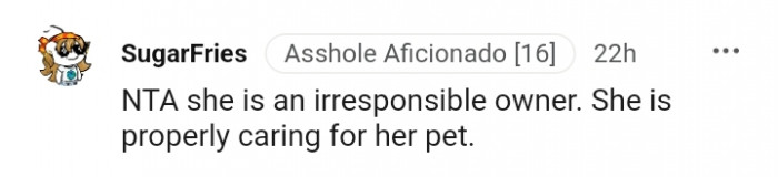 She is an irresponsible owner.