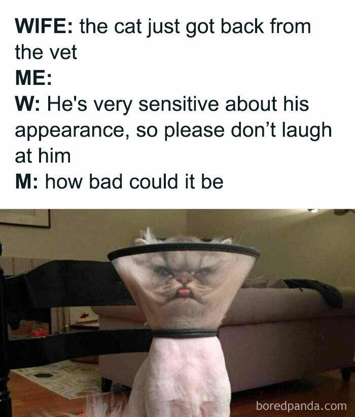 6. Very bad