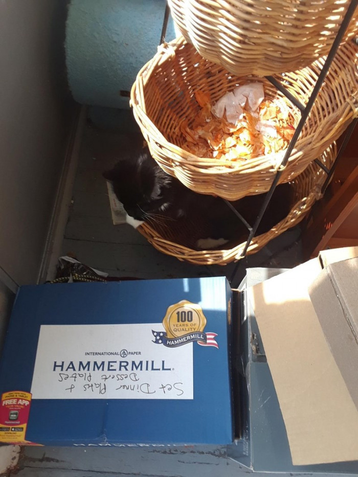 10. This is the comfiest place ever