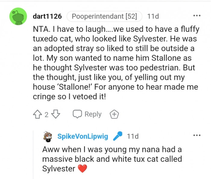 This redditor used to have a fluffy tuxedo cat