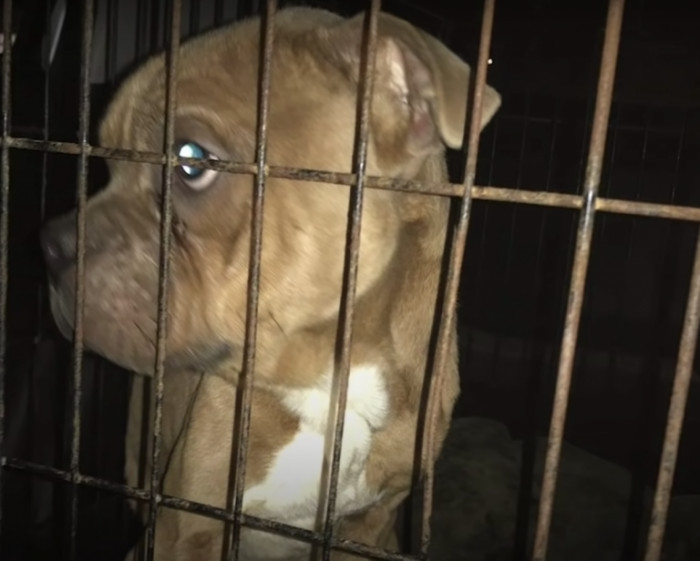 Bowie was a bit of a crybaby at first, and that, of course, was understandable