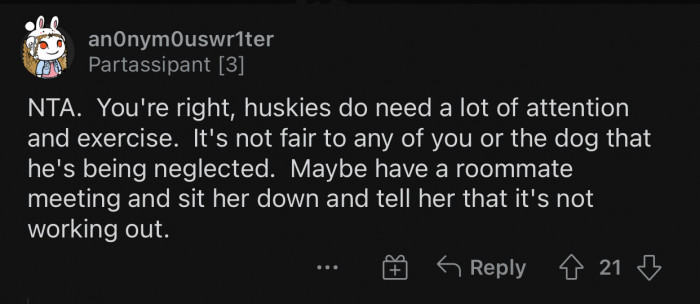 Huskies require a lot of attention and exercise.