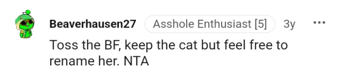 Keep the cat and rename her if you wish