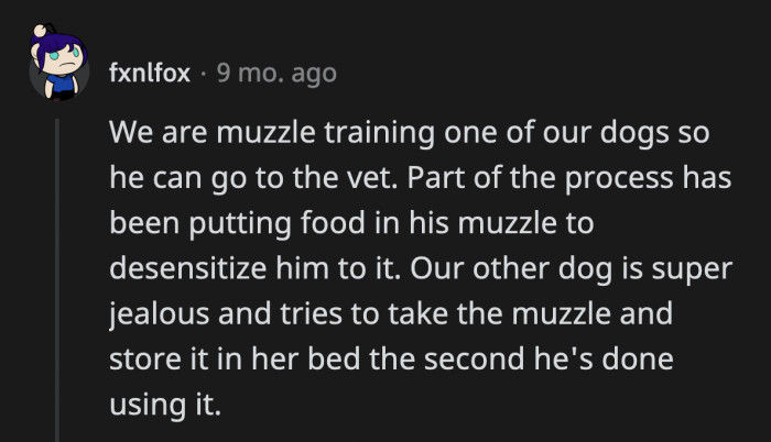 40. Only time they like a muzzle is when it has food in it