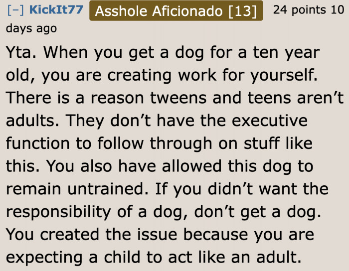 Getting a dog for children = It's largely the parent's responsibility.