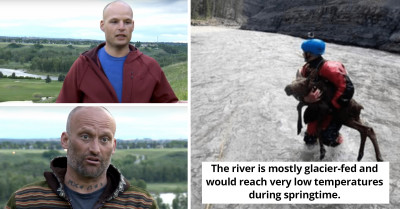 Moose Calf Is Rescued By Two Experienced Calgary Kayakers From Drowning In The Raging Fast River