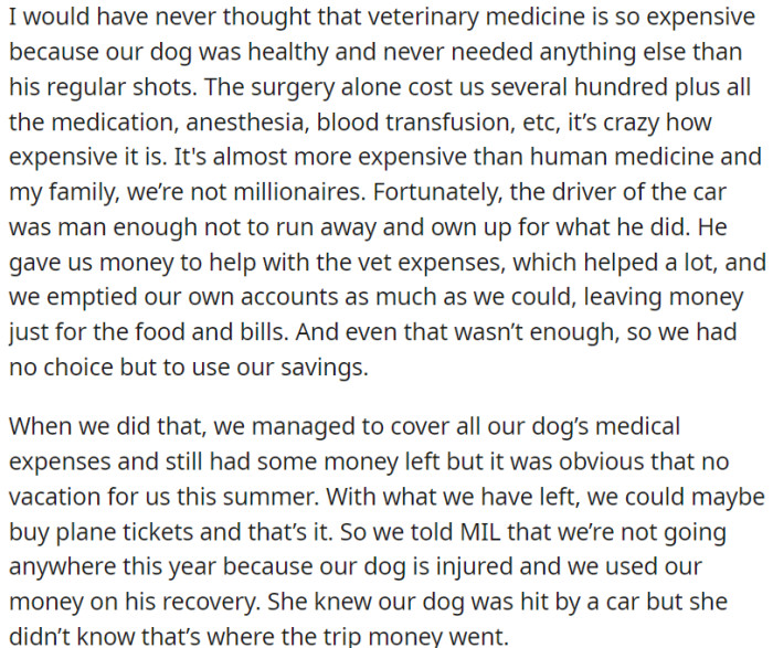 Despite the driver helping financially, OP's family drained their accounts and dipped into savings to cover the bills. This meant no summer vacation, but they prioritized their dog's recovery.