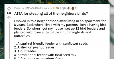 Redditor Asks If They Are Wrong For "Stealing" All Of Their Neighbors' Birds