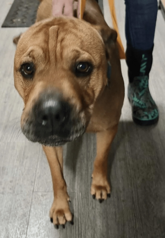 3. "My sweet Sundae"