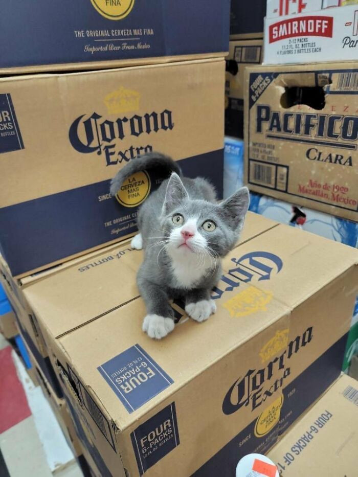 42. ‘I wasn’t doing anything!’