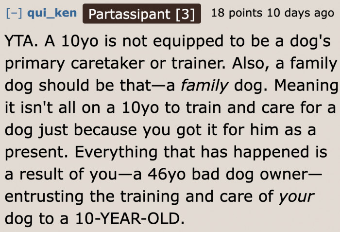 In reality, it's all the OP's fault for depending on a 10-year-old to care for a dog.