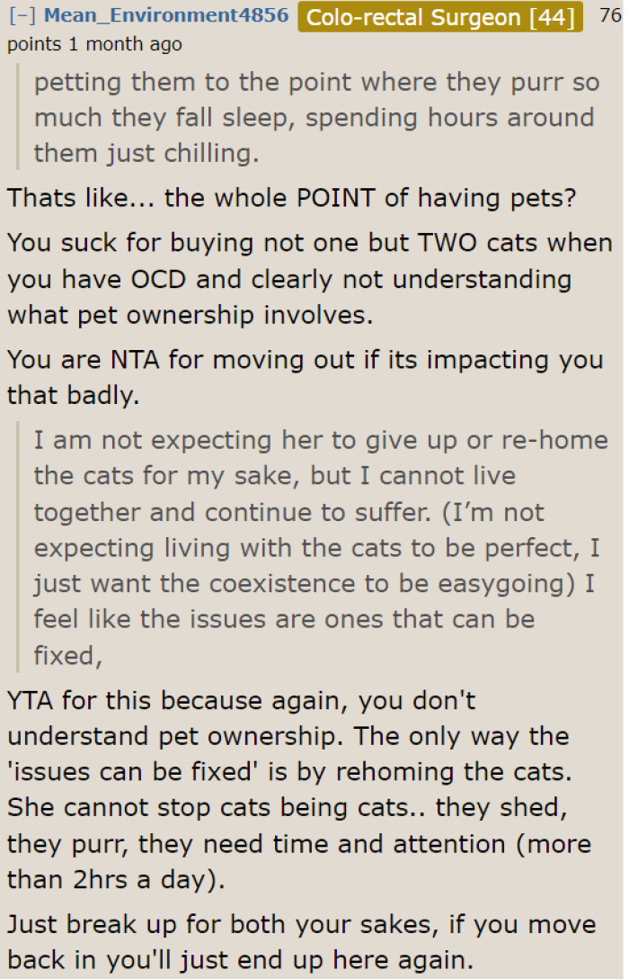 He knew he had OCD, so why did he get two cats? It was a decision he hadn't thoroughly thought through.