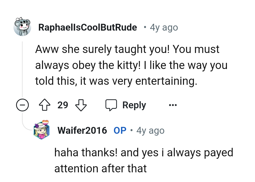 This Redditor likes the way OP told the story of the cat