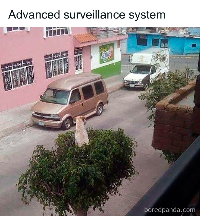 43. He's keeping watch all day and all night