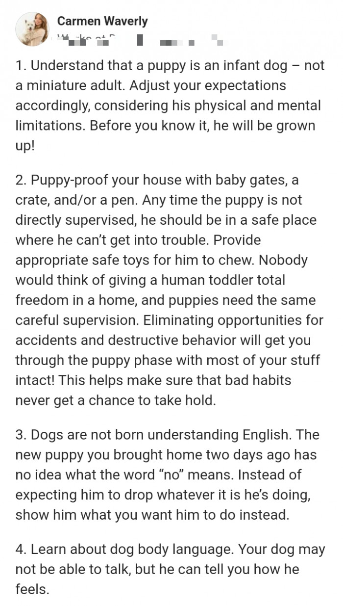 8. The puppy is an infant dog, not a miniature adult