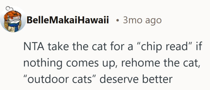 Practical take that leans on tech and compassion. Check the chip, then find a home that keeps him out of the storm.
