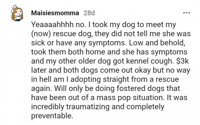 This Redditor vows never to adopt straight from a rescue again