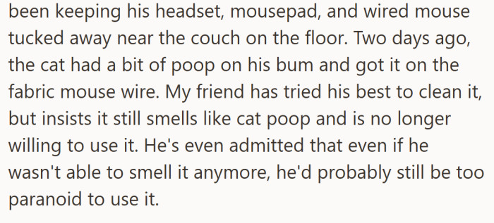 One streak of bad luck (and cat poop) later, and suddenly no amount of cleaning could convince him the mouse wasn’t cursed forever.