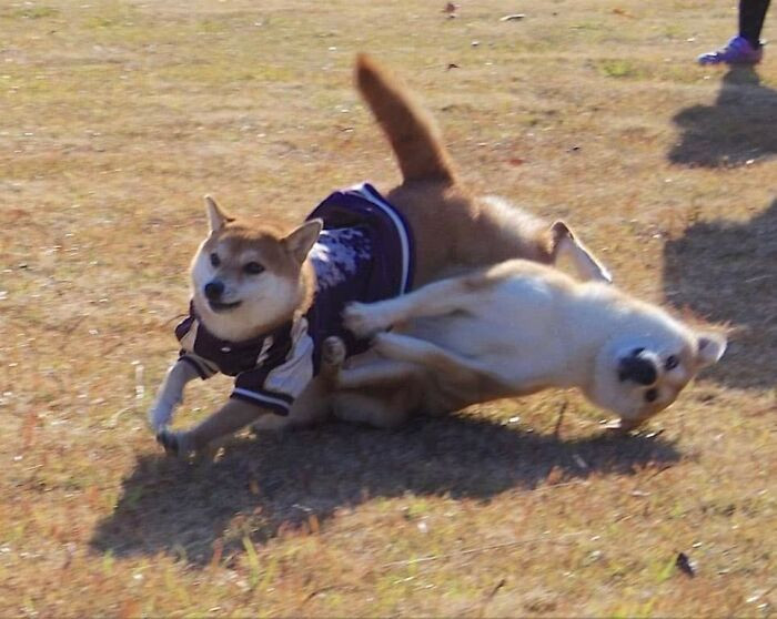 32. I guess it's a race