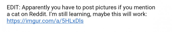 OP added an edit after many requests for pictures