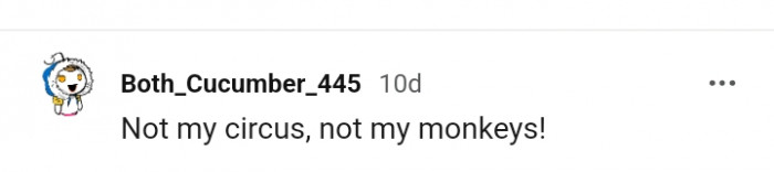 Whatever this Redditor said...