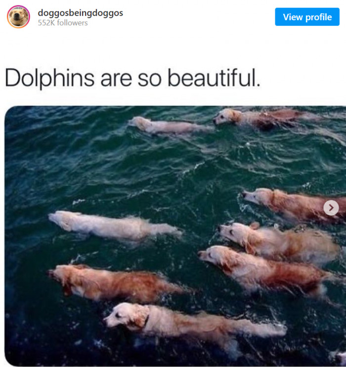 20. Beautiful creatures of the sea?