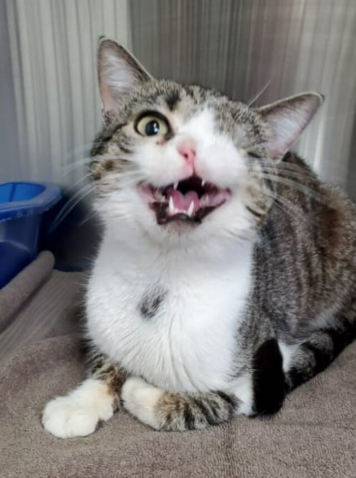 Handsome Eggbert was born with only one eye and one nostril.