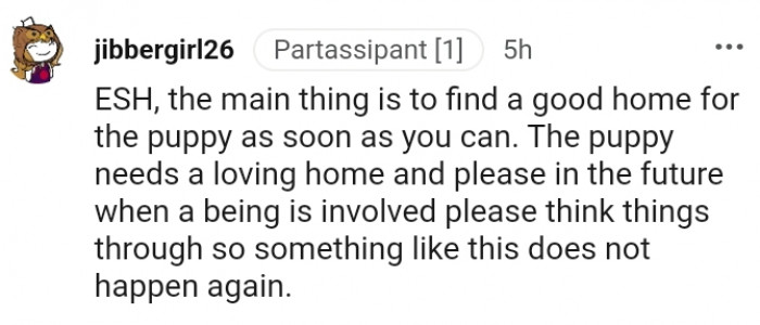 1. The Puppy Needs a Loving Home