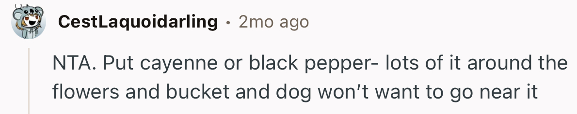 “NTA. Put Cayenne or Black Pepper—Lots of It—Around the Flowers and Bucket.”
