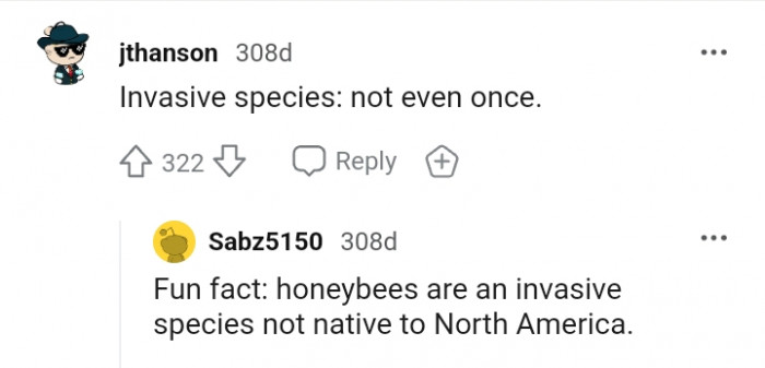 Honeybees are an invasive species