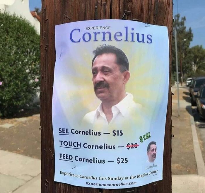 18. Do you want to experience Cornelius?