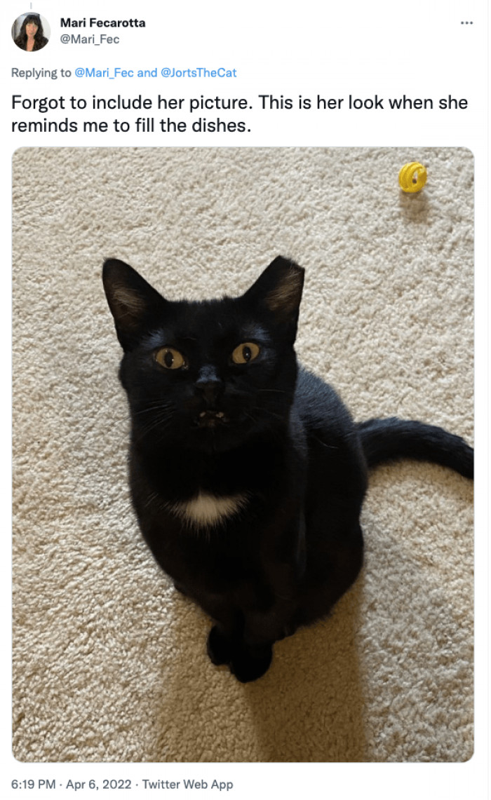 Inky is also your personal food-refilling alarm.