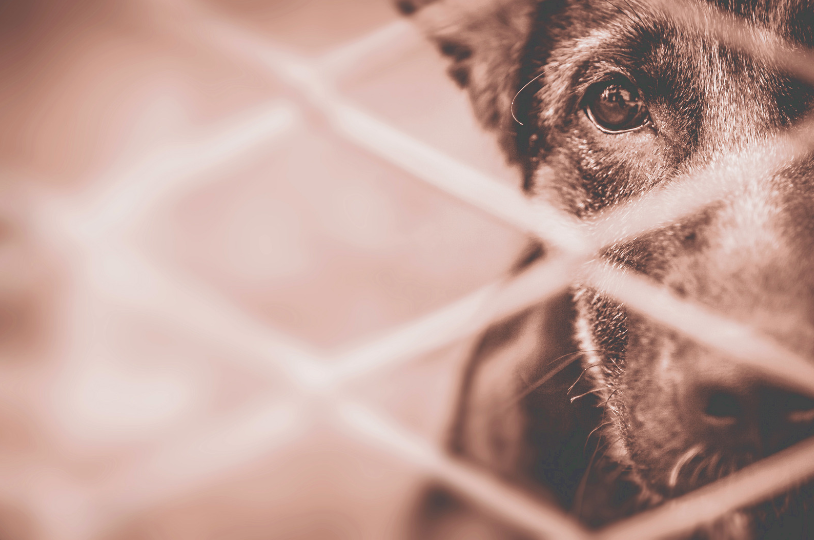 It's hard to give advice to the OP, especially since she didn't specify where she's located.