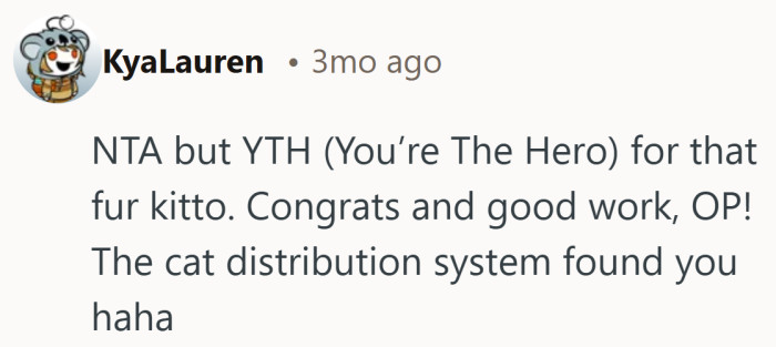 Playful nod to the idea that some cats simply assign themselves to you like a cosmic matchmaking glitch.