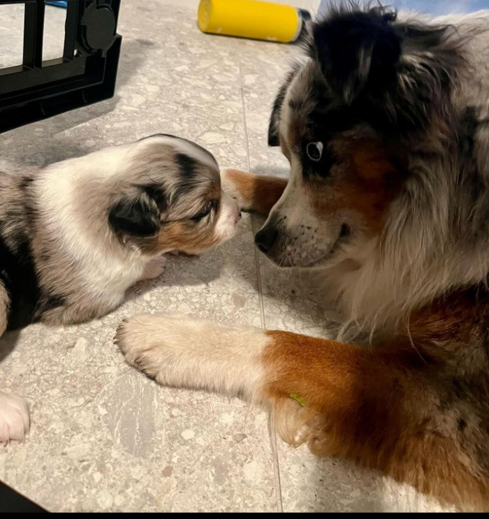 26. Another dad and son close-up