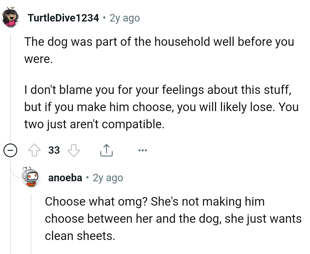 The dog was there before the OP