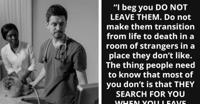 Veterinarians Share Heartbreaking Experiences Of Pets' Final Moments