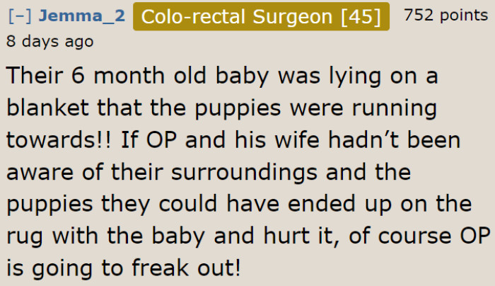 A user defends the OP's reaction.