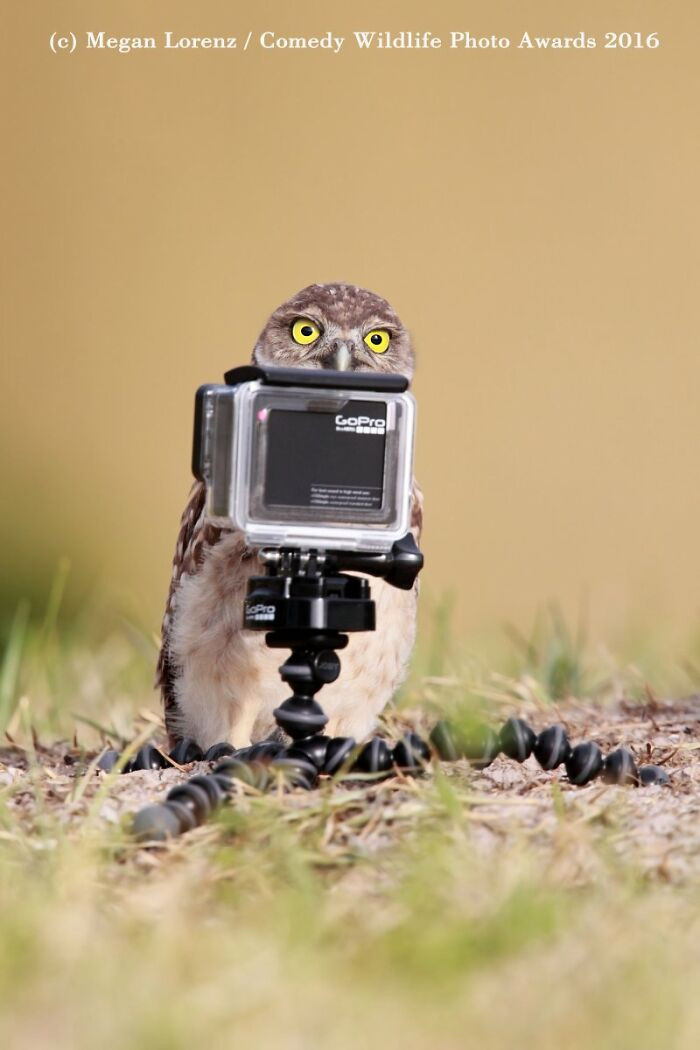 Selfie By Megan Lorenz