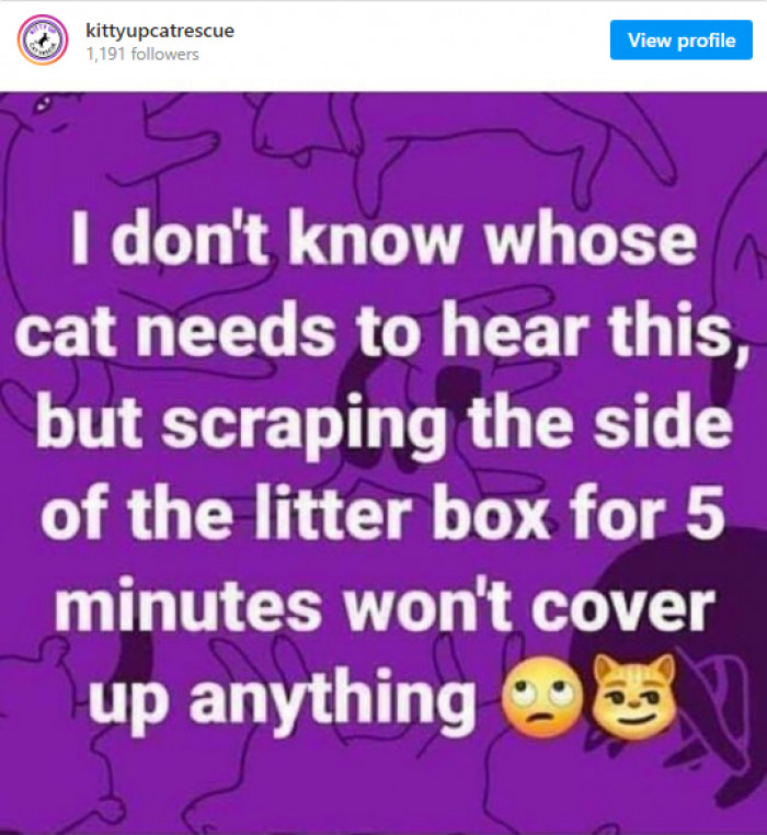 9. Well, just so you know