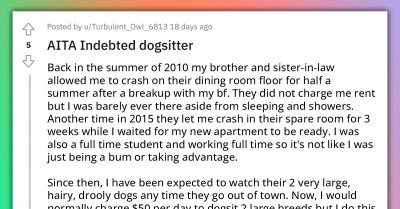 Redditor’s Brother Believes They Should Dogsit For Free Till The End Of Time Just Because He Let Them Crash For A Couple Of Weeks For Free 10 Years Ago