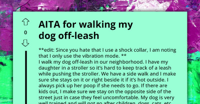 Irresponsible Dog Owner Angers Online Community Because He Walks His Dog With Shock Collar Instead Of Leash