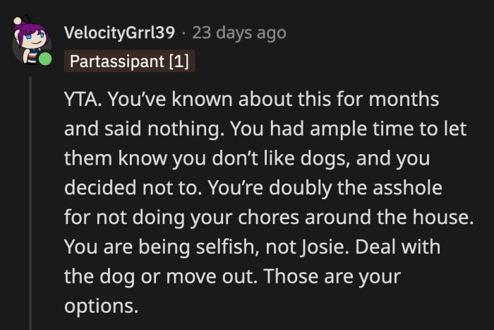 OP is behaving like a child. He is messier than the dog he complains about.