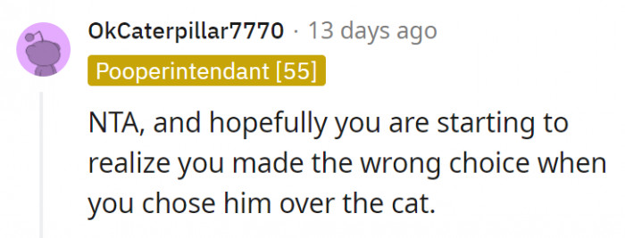 3. The cat would've been a lot more sympathetic in situations like these