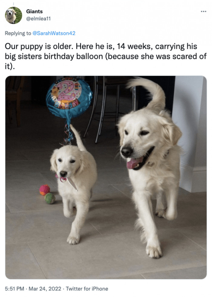 18. "Let me take care of the balloon for you, sis!"